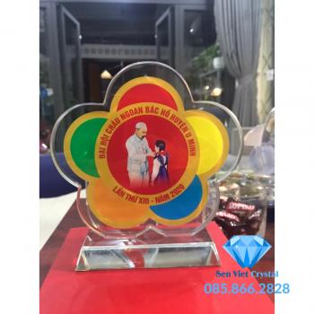Kỷ niệm chương pha lê bông hoa M46