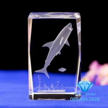 Khối pha lê khắc 3D M11