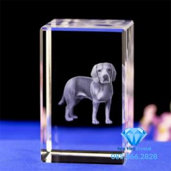 Khối pha lê khắc 3D M19