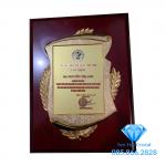 Bảng vinh danh M01