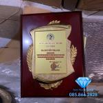 Bảng vinh danh M01