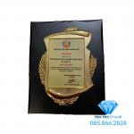 Bảng vinh danh M01