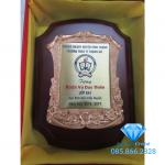 Bảng vinh danh M02