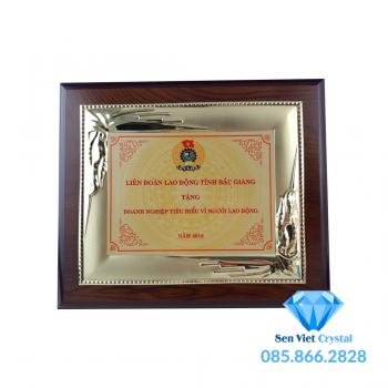 Bảng vinh danh M06
