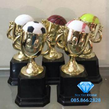 Cúp kim loại M05