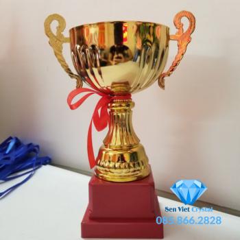 Cúp kim loại M19