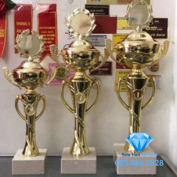Cúp kim loại M21