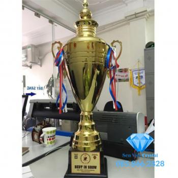 Cúp kim loại M23