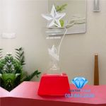 Cúp pha lê chế tác M81