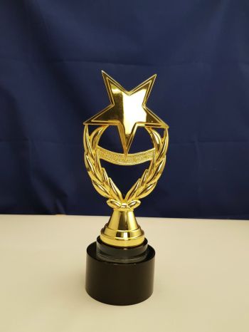 Cúp trao giải M1